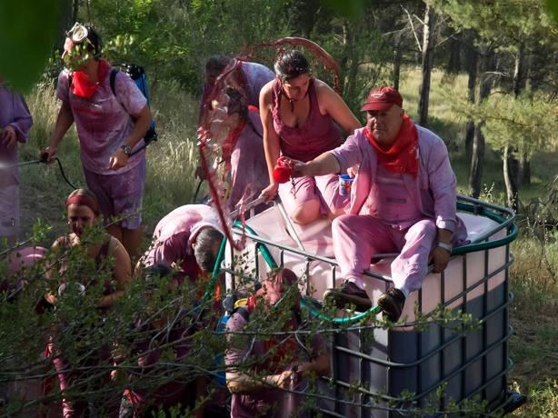 wine battle wine battle