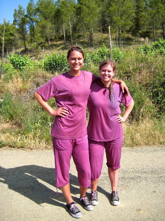 wine battle wine battle