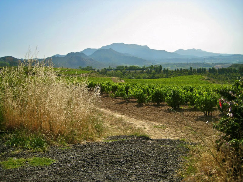 wine battle wine battle