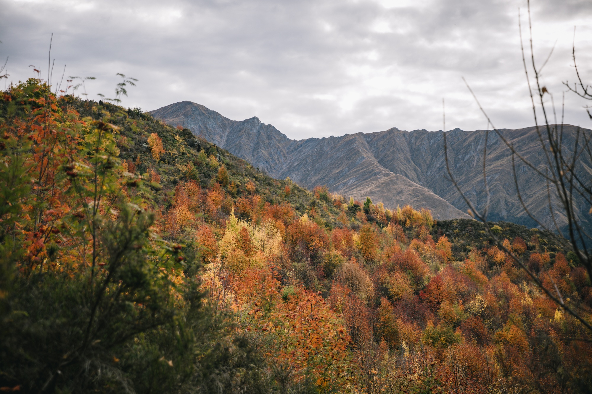 Arrowtown in autumn