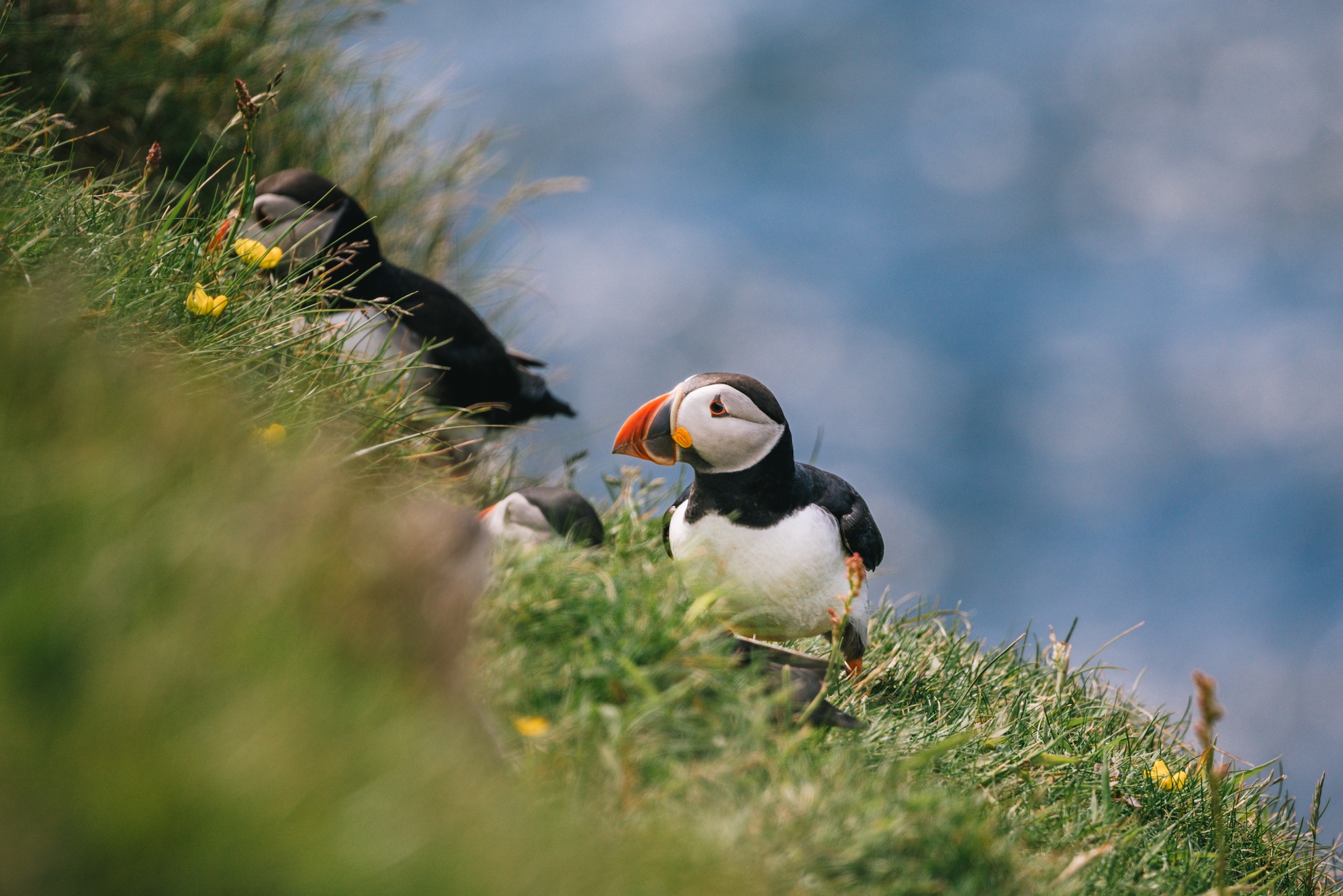 solo female travel in your thirties