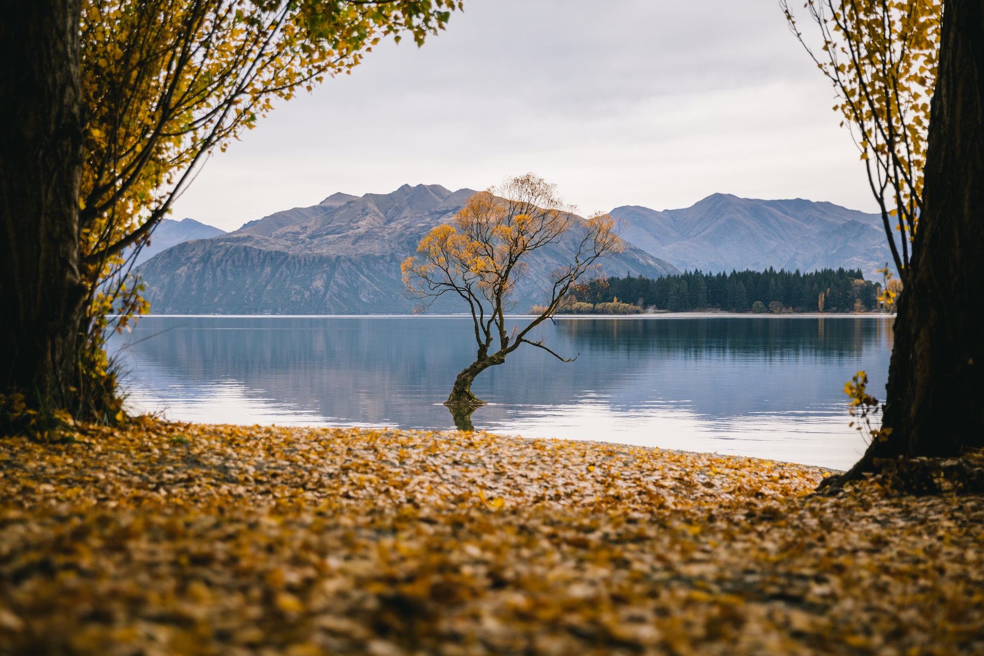 ubco motorbike in New Zealand