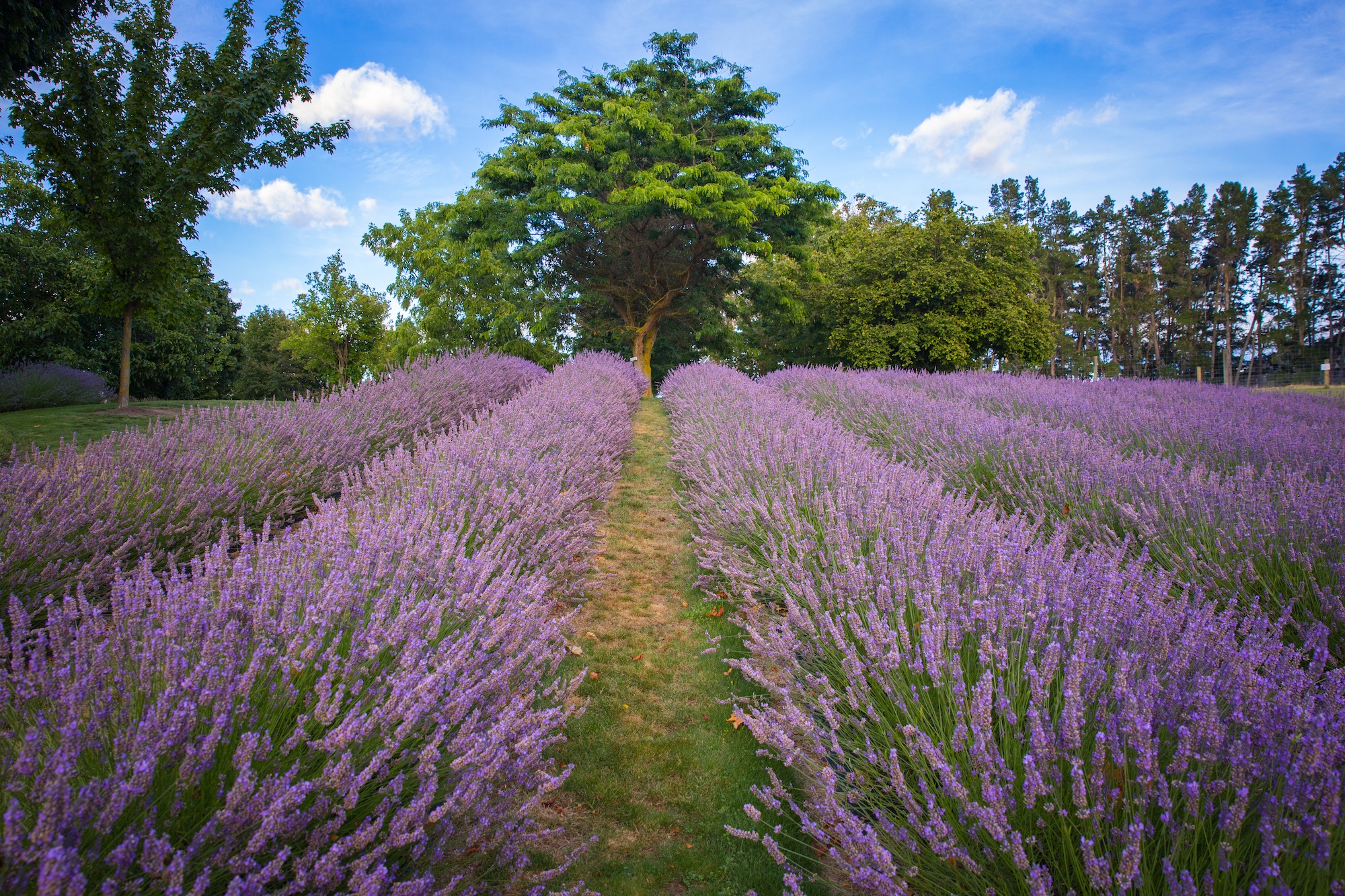 instagrammable spots in wanaka
