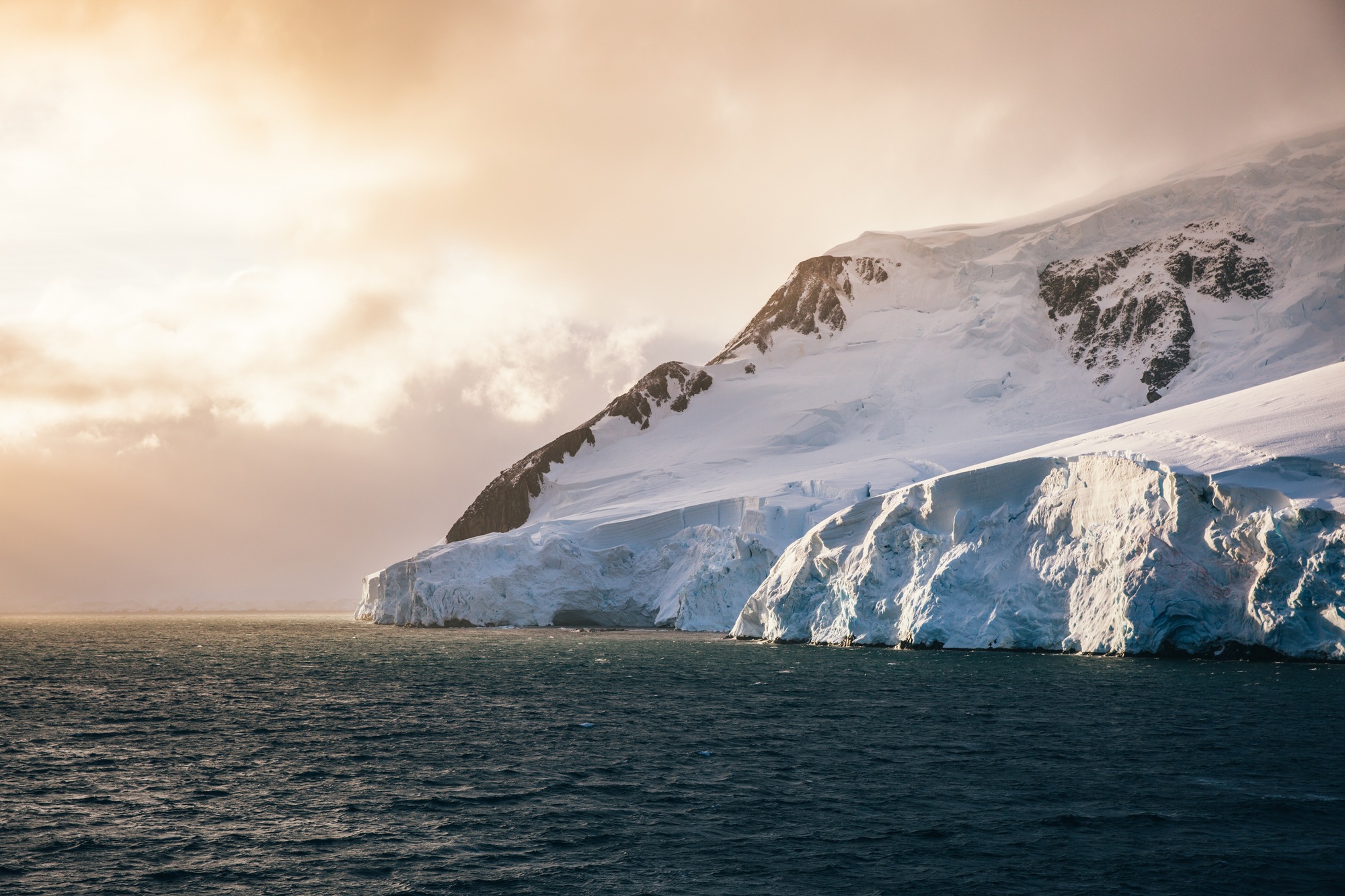 antarctic studies