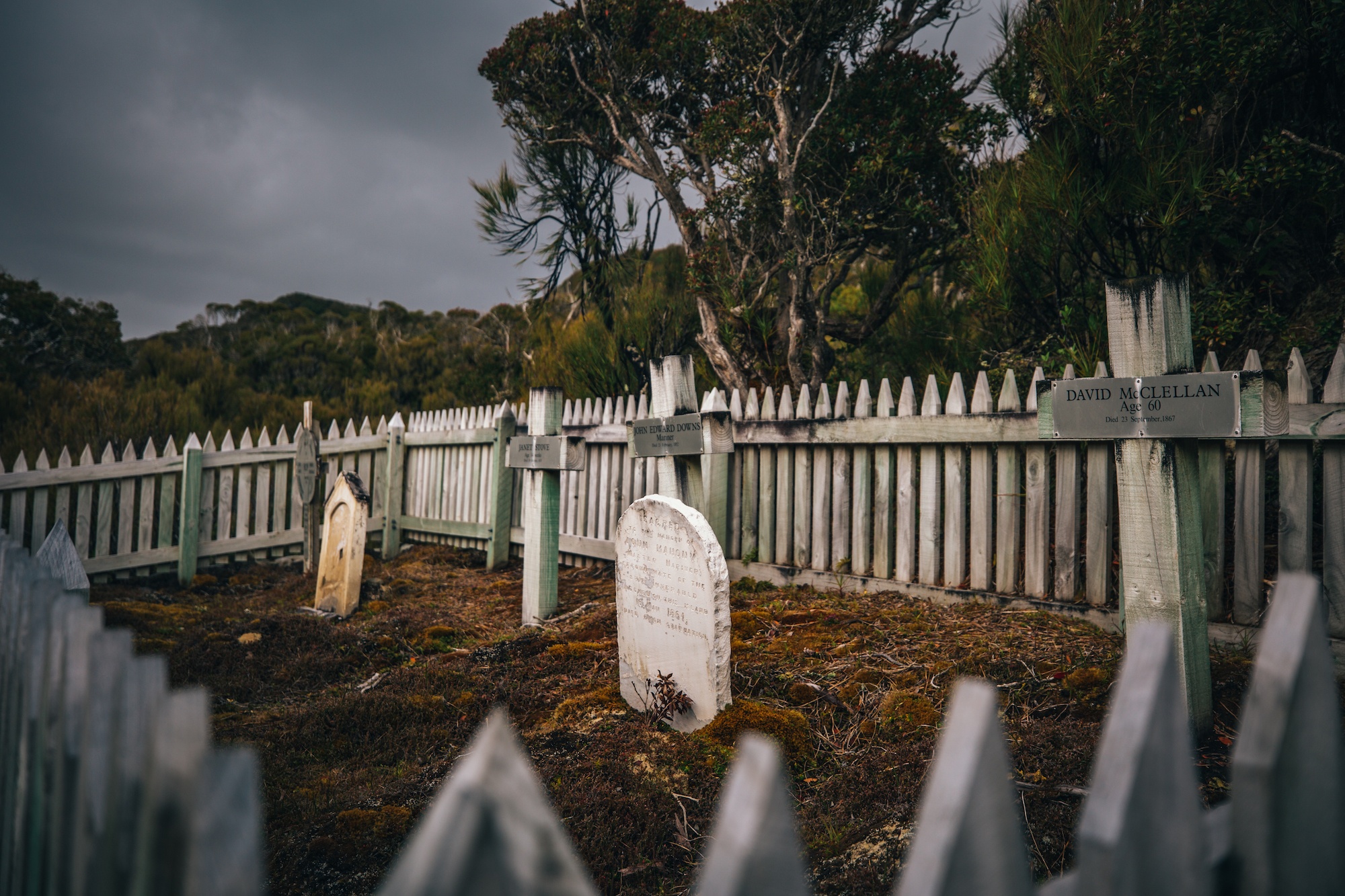 auckland islands travel