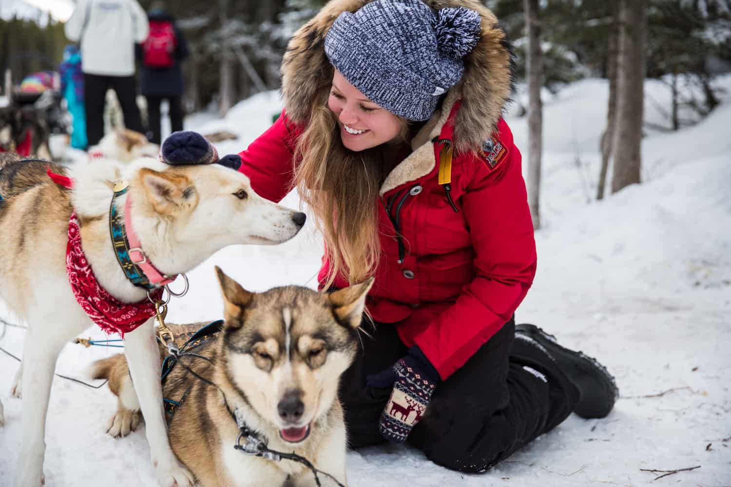 dogsledding alberta