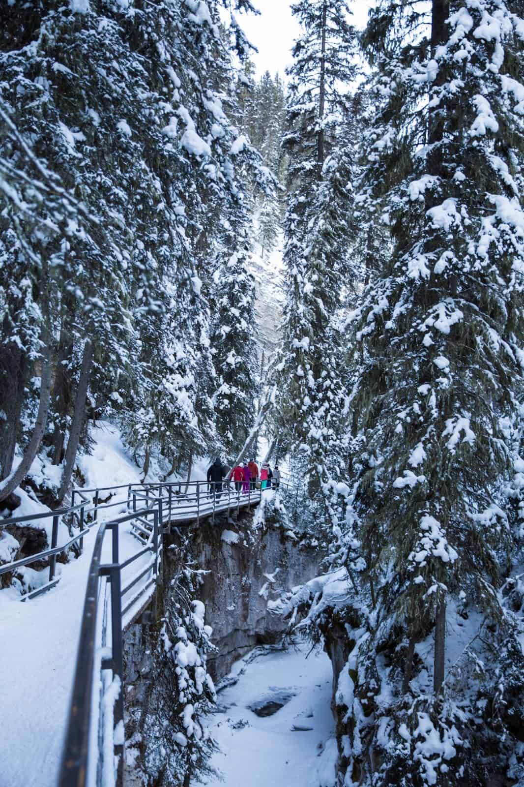 johnston canyon winter