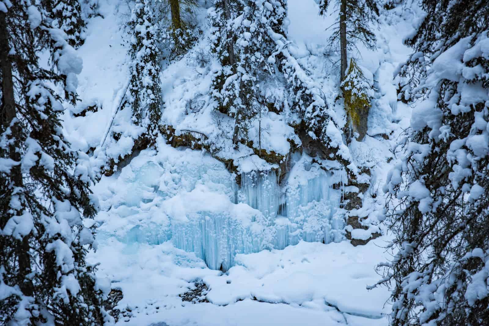 johnston canyon winter
