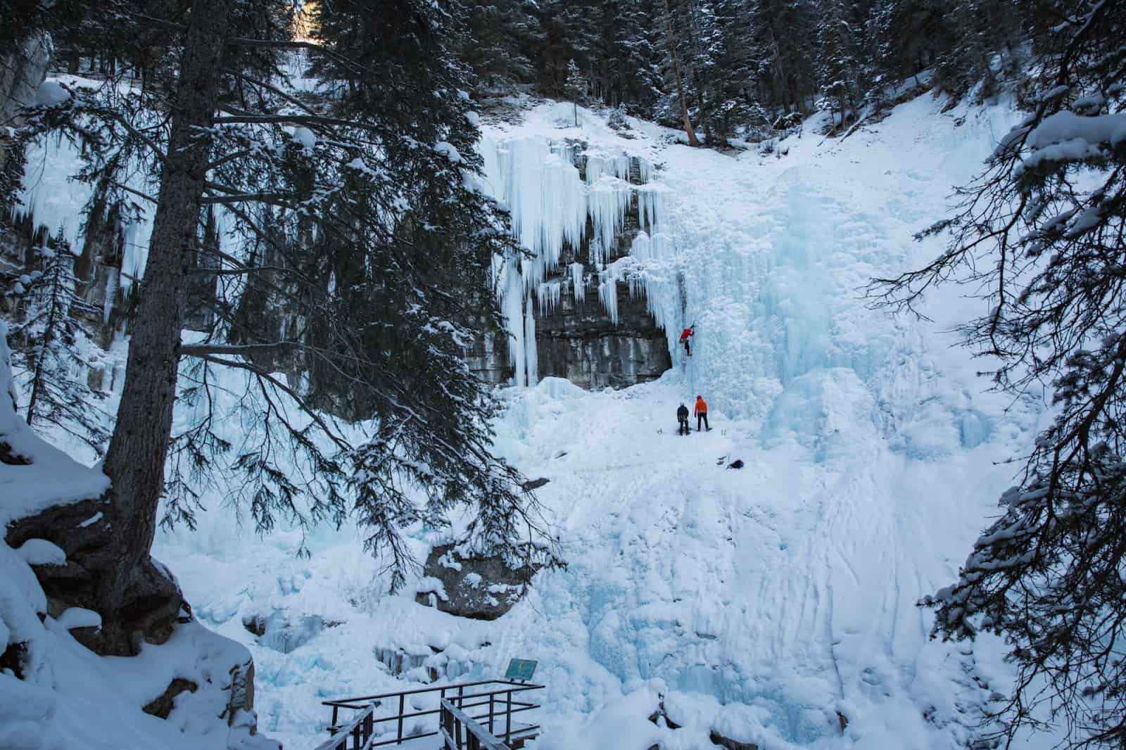 johnston canyon winter