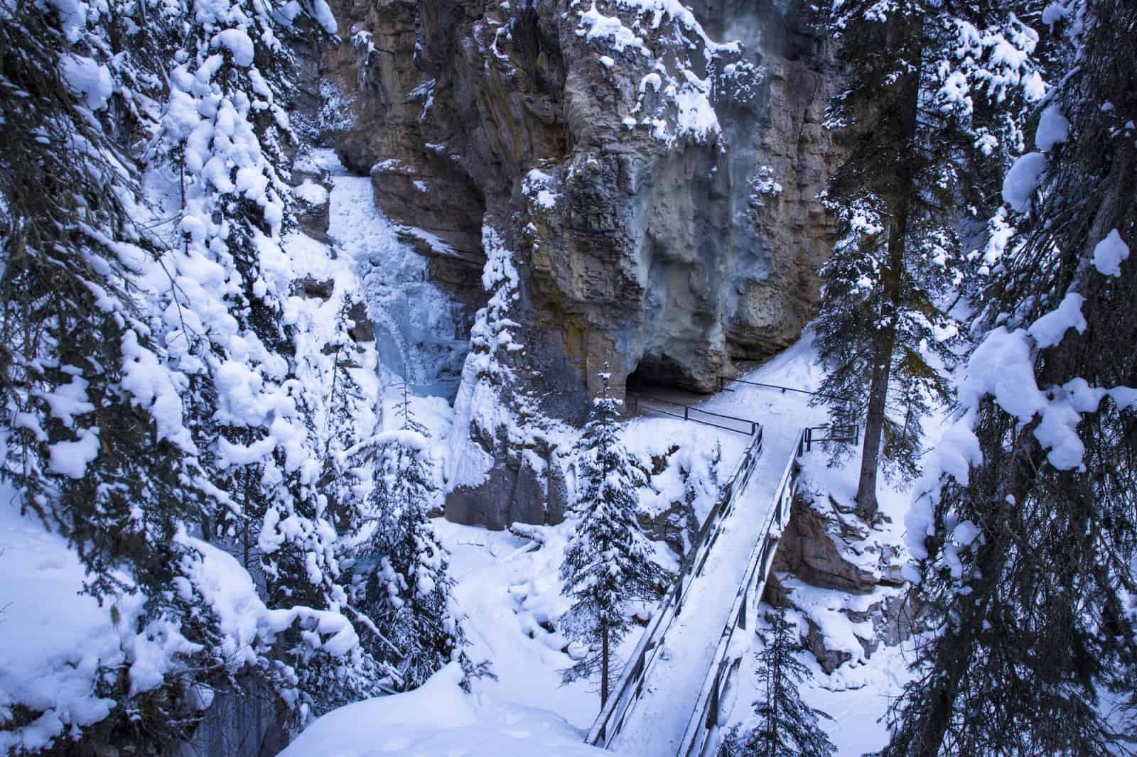 johnston canyon winter