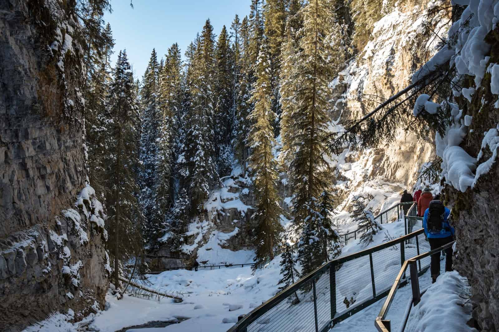 johnston canyon winter