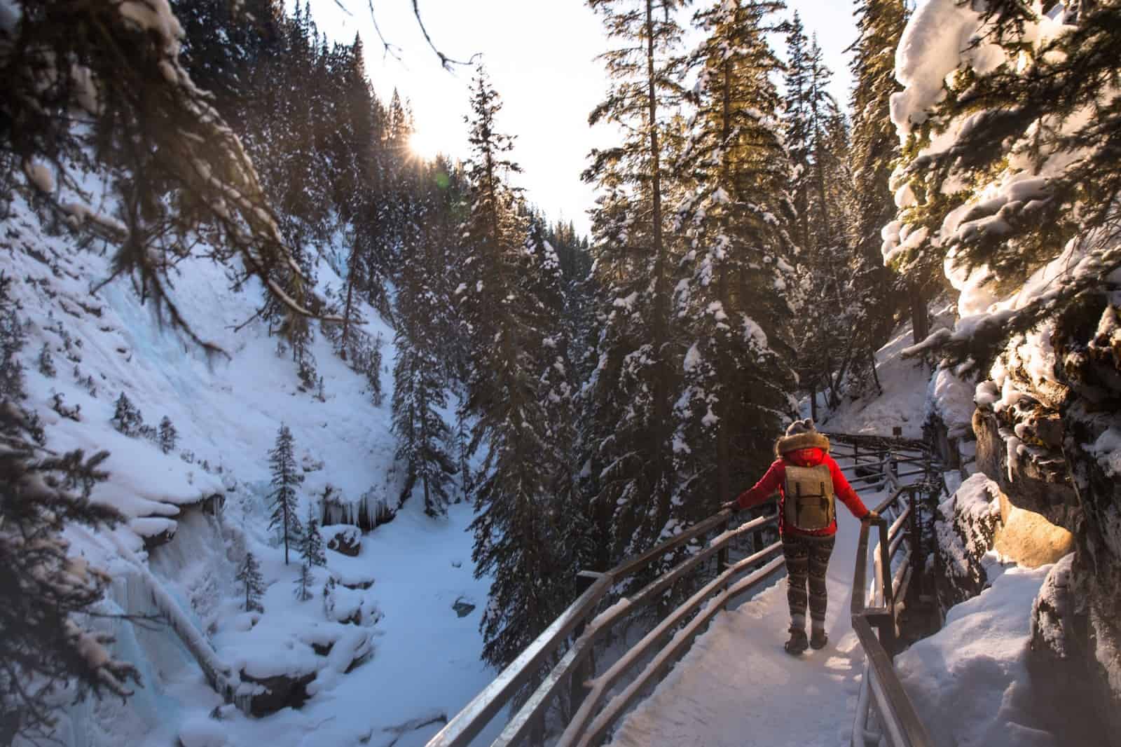 johnston canyon winter