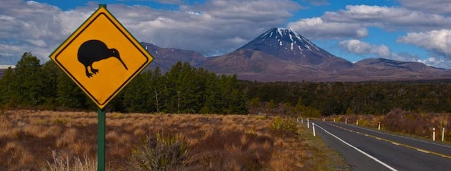 new zealand slang new zealand slang