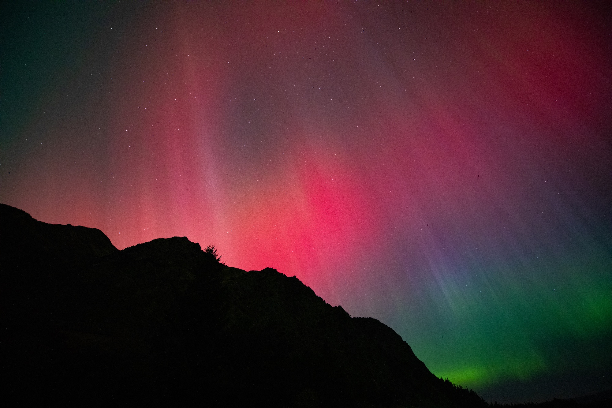 New Zealand aurora