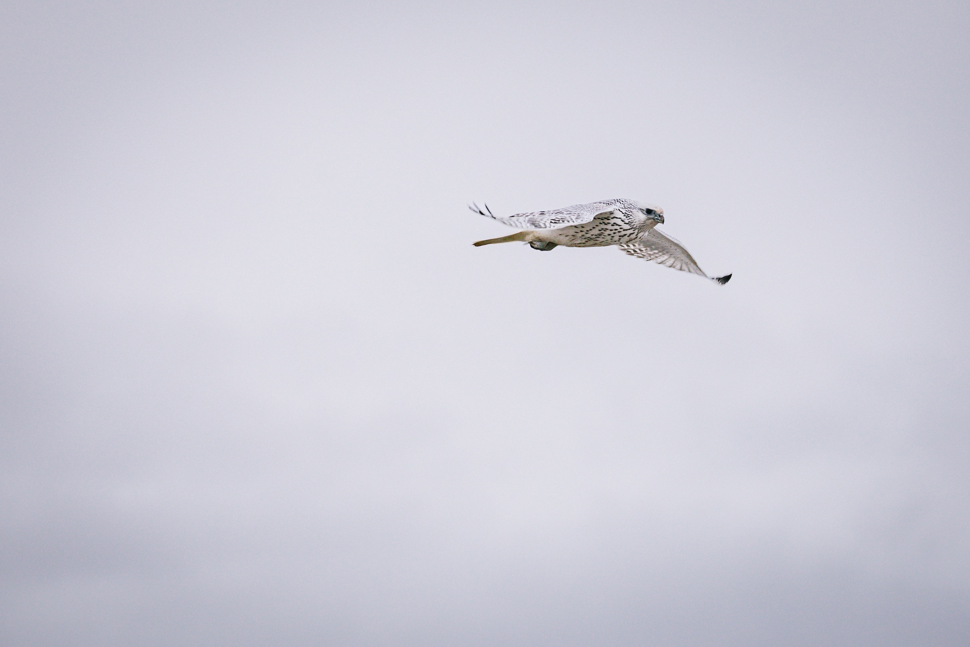 travel the Northwest Passage