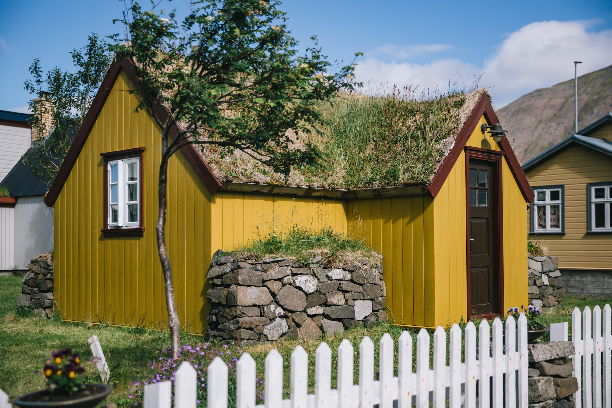 visit iceland by sea