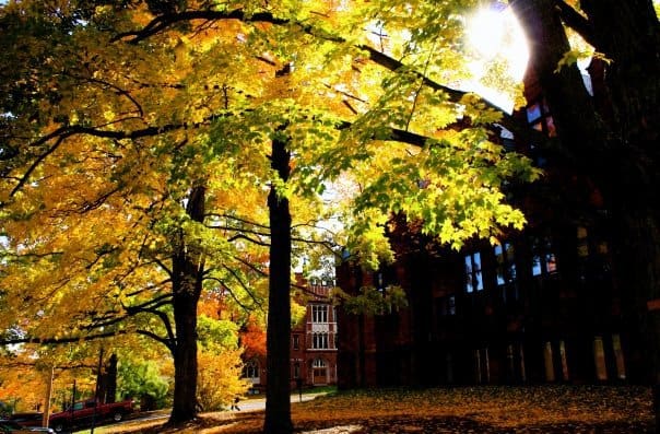 autumn around the world