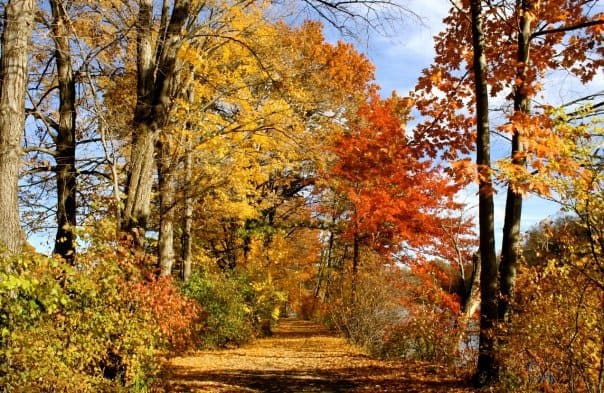 autumn around the world