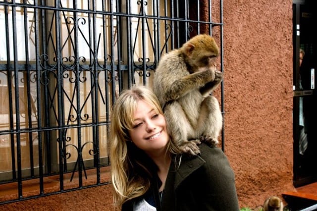 hate comments hate comments