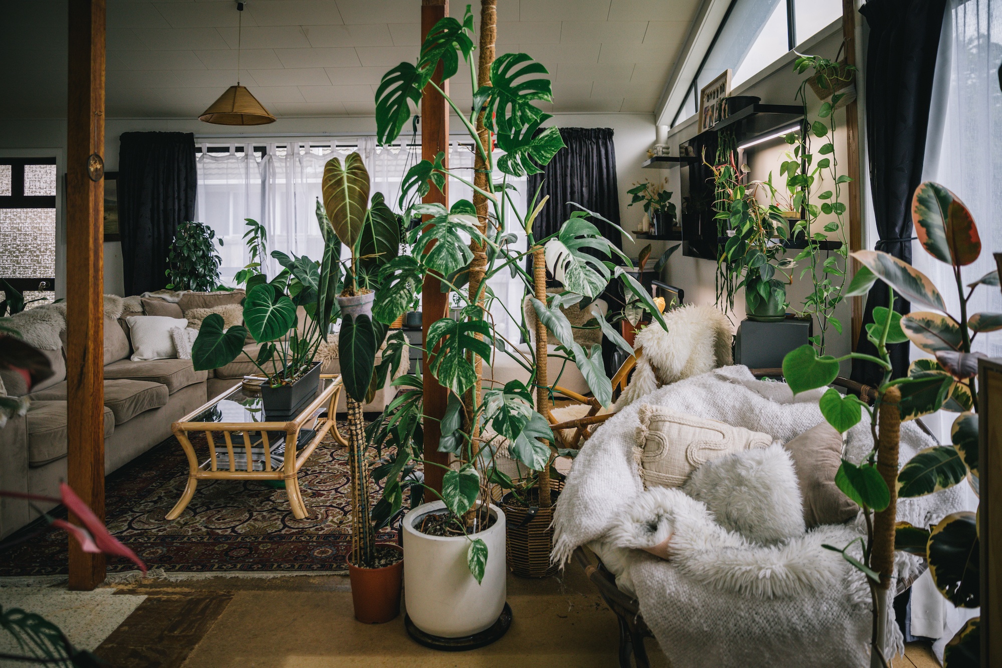 houseplants and design book