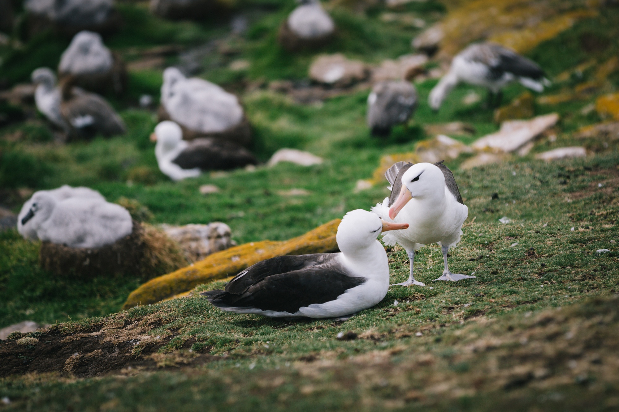 Antarctica is life-changing