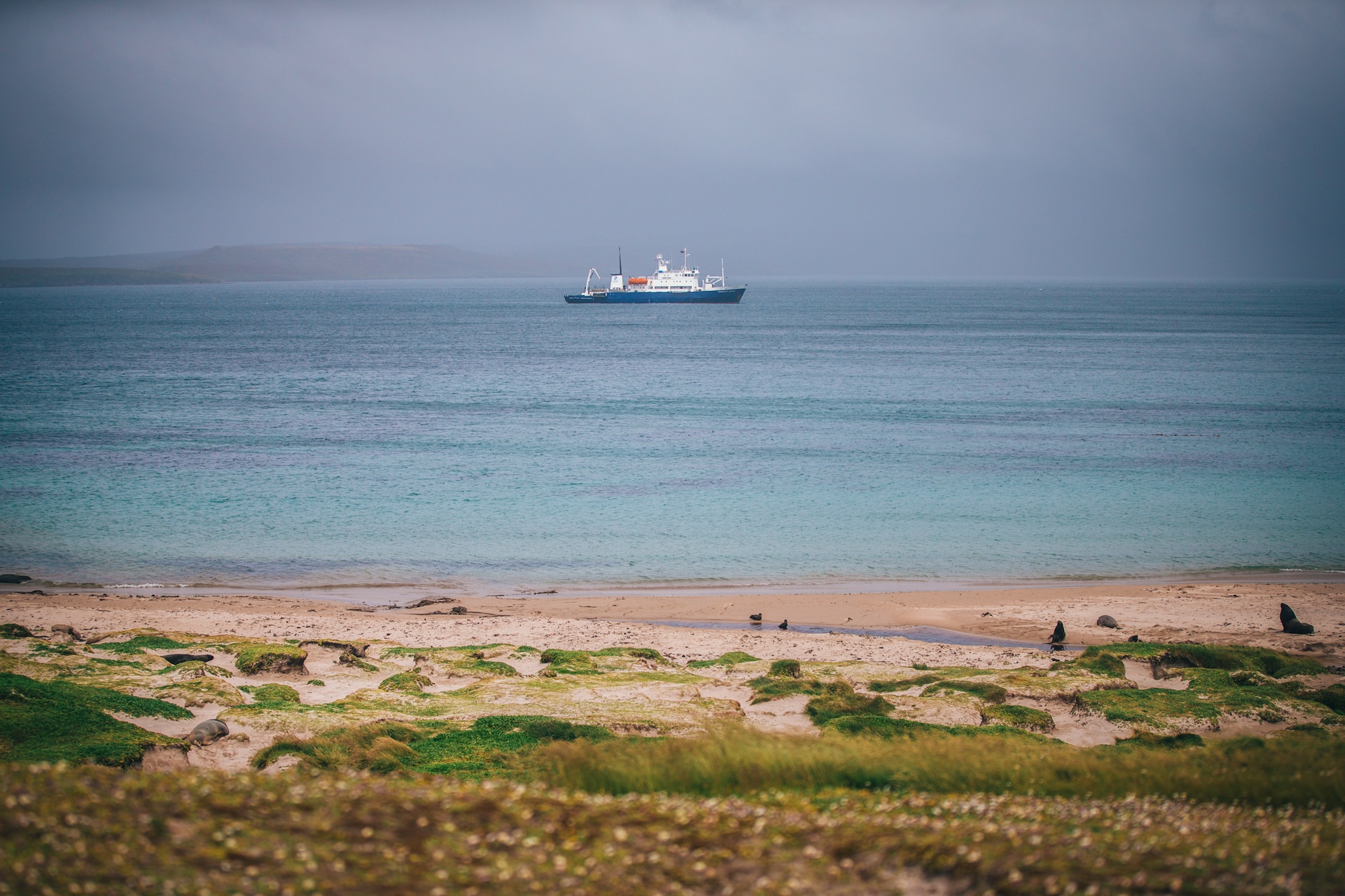 auckland islands travel