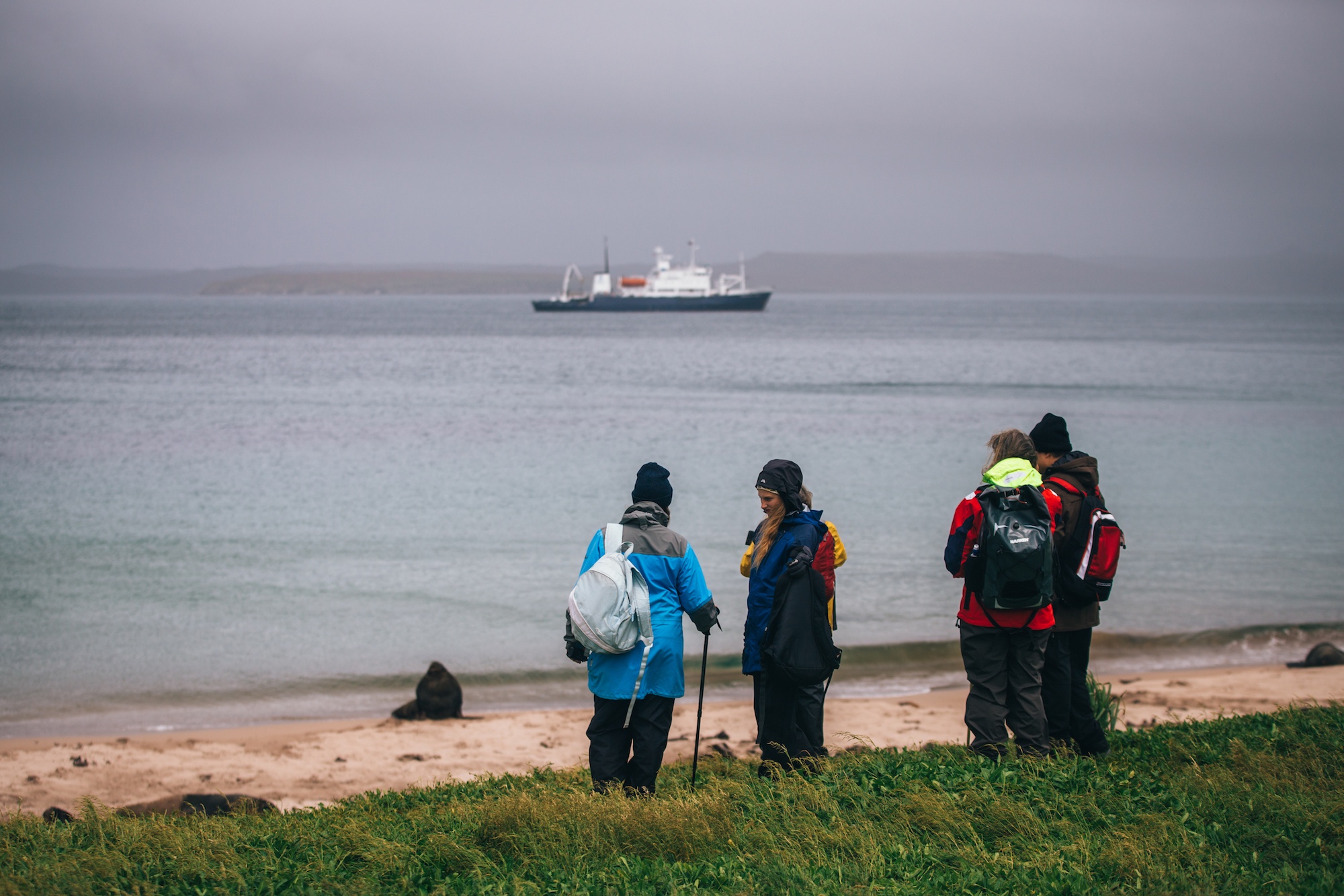 auckland islands travel