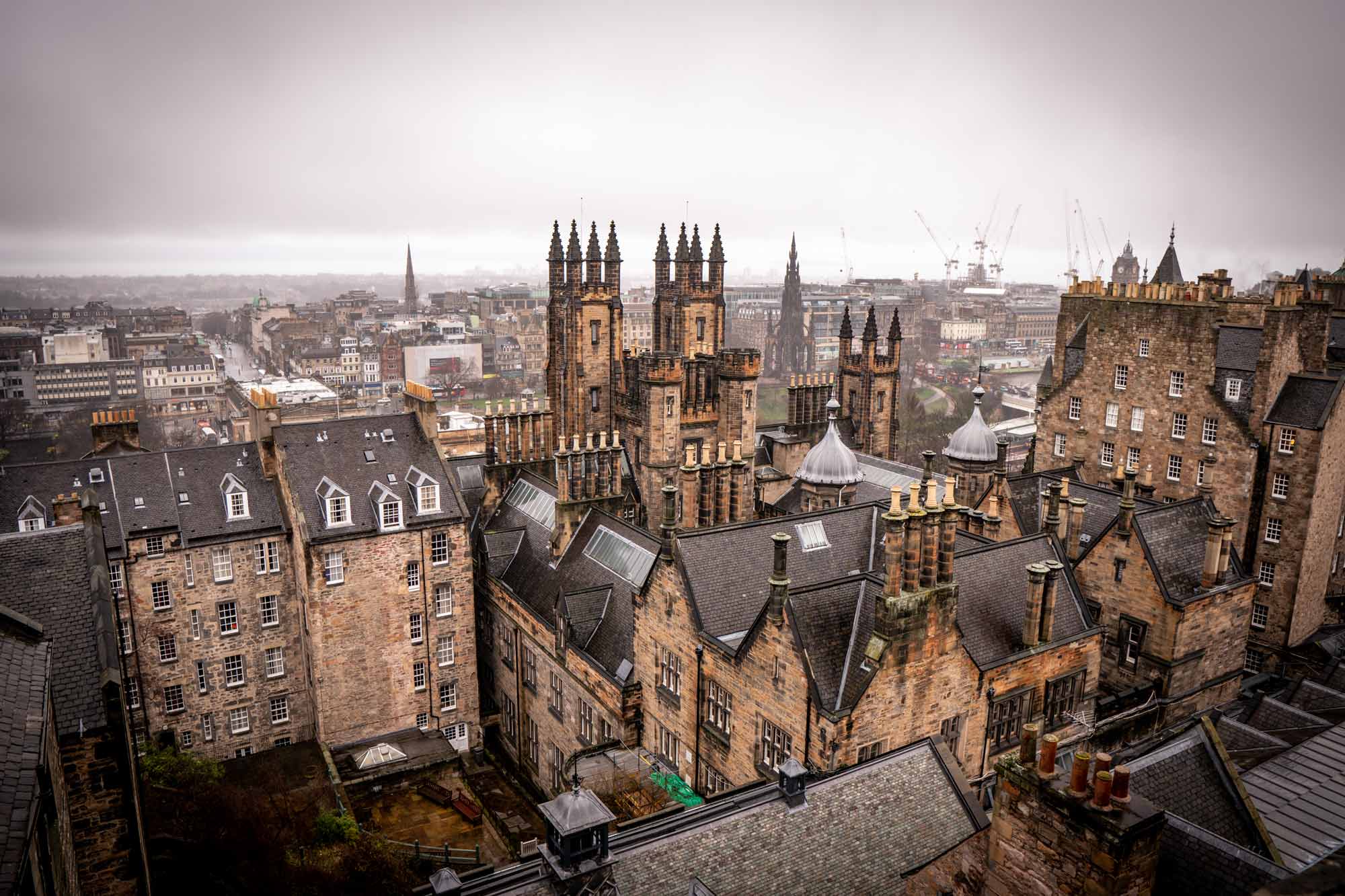 kiwi expat during covid19