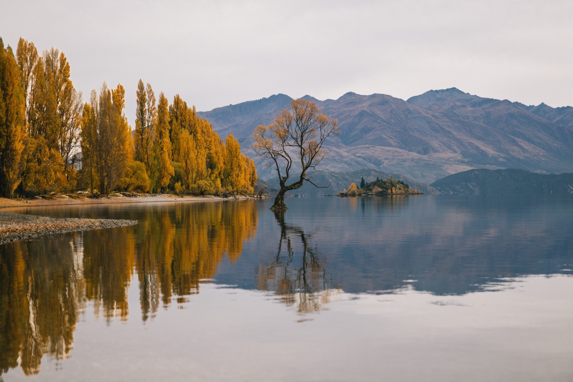 ubco motorbike in New Zealand