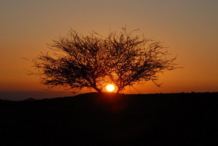 jordan travel guide jordan travel guide