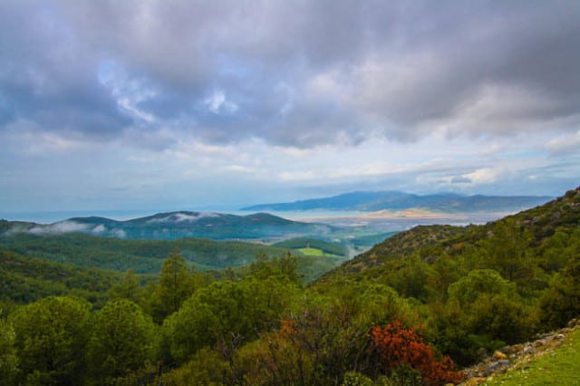ephesus turkey ephesus turkey