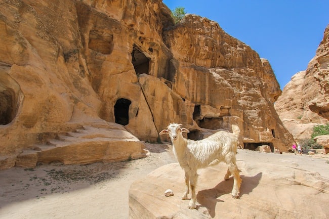 Indiana Jones Petra Jordan Indiana Jones Petra Jordan