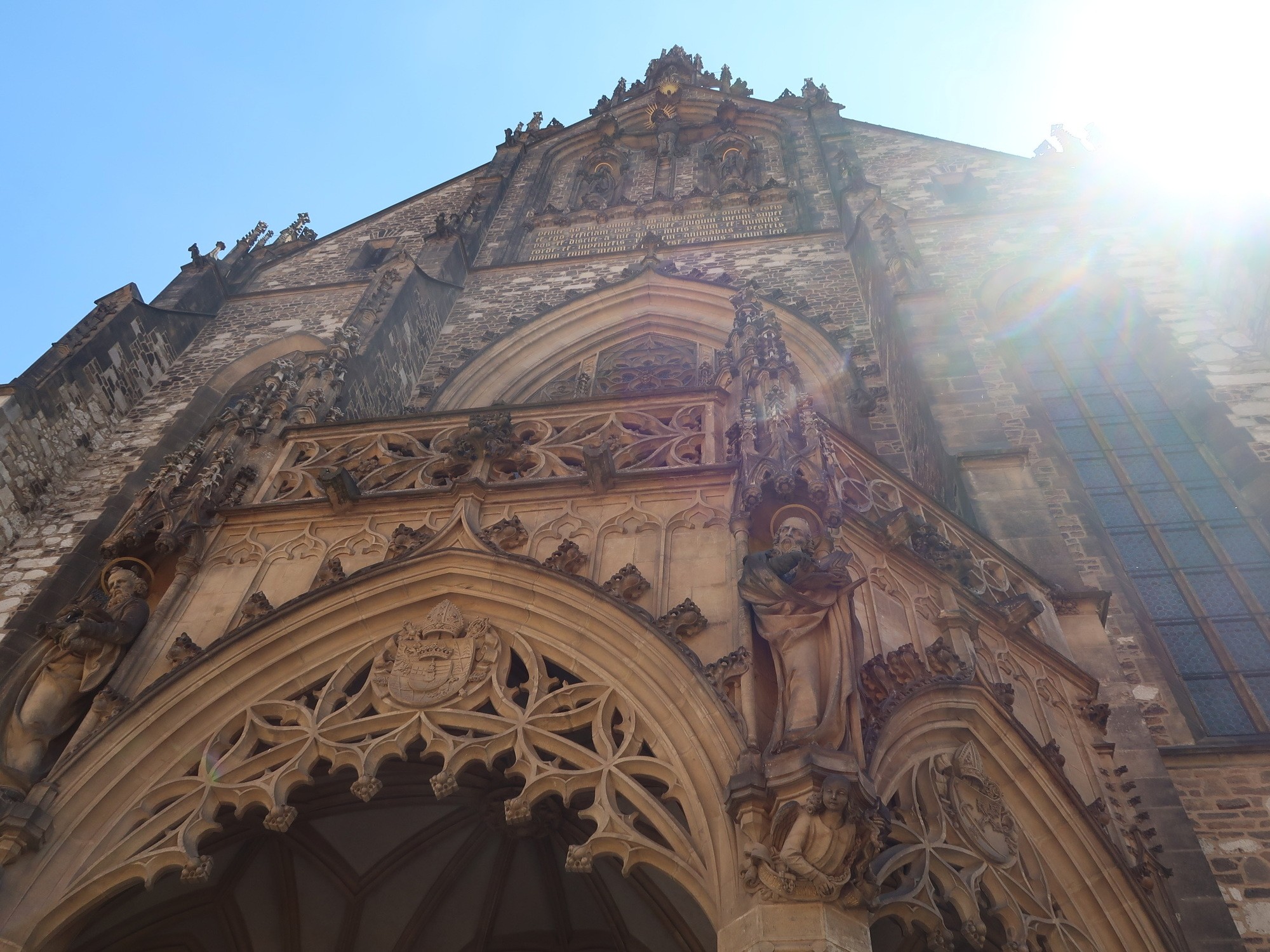 in love with my tour guide