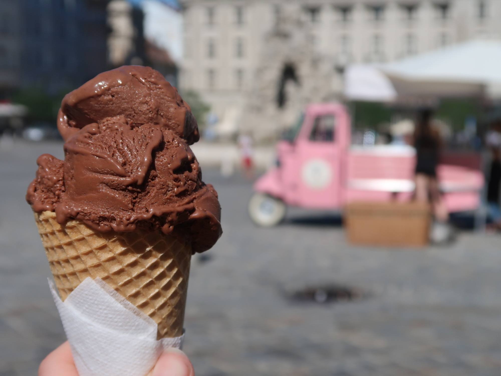 in love with my tour guide