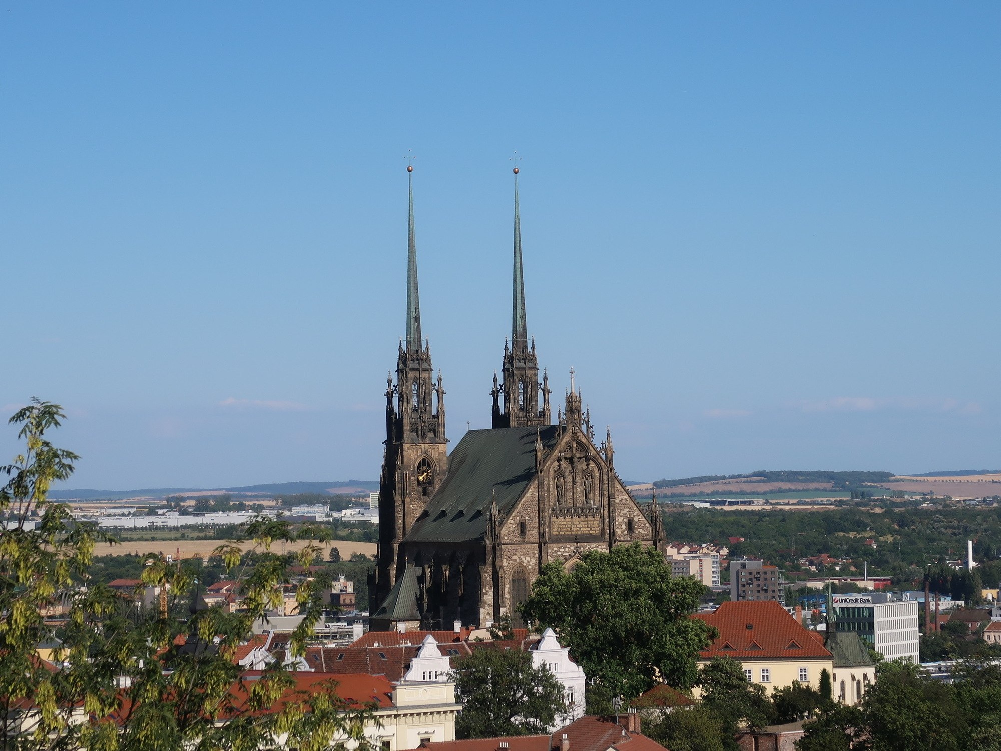 in love with my tour guide