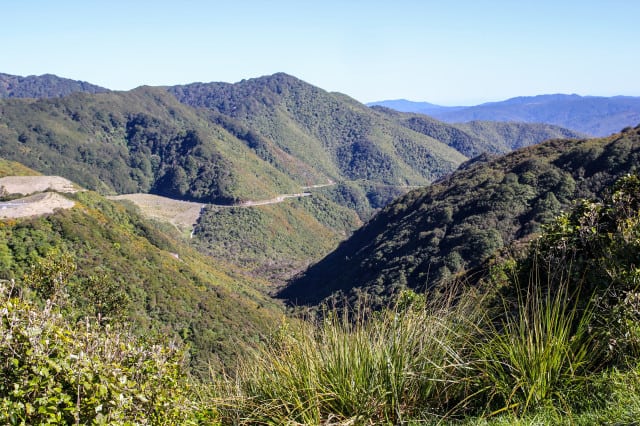 New Zealand expat New Zealand expat