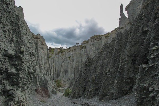 New Zealand expat New Zealand expat