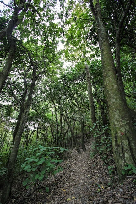 New Zealand expat New Zealand expat