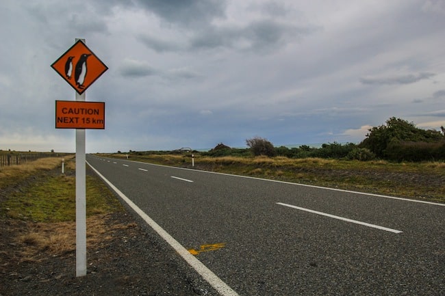 new zealand slang new zealand slang