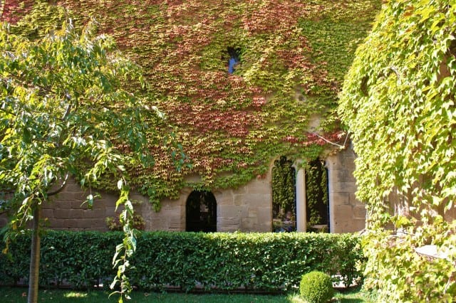 autumn around the world