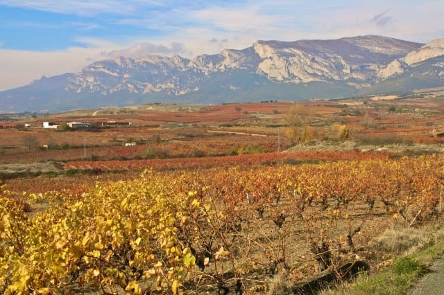 autumn around the world