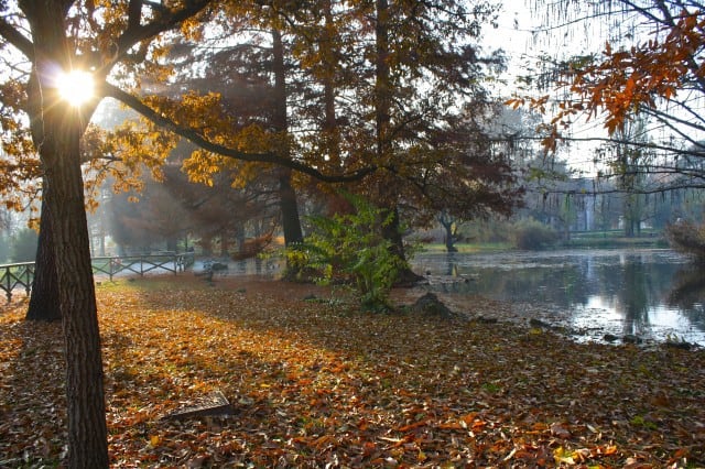 autumn around the world