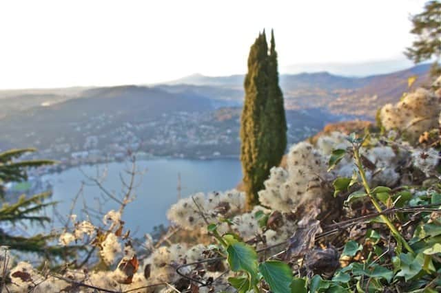 Things No One Tells You about Moving Abroad Things No One Tells You about Moving Abroad