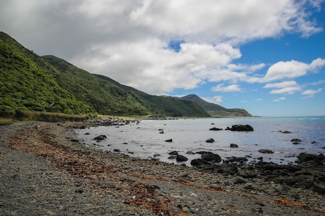 new zealand slang new zealand slang