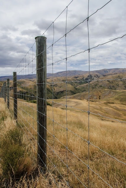 new zealand slang new zealand slang
