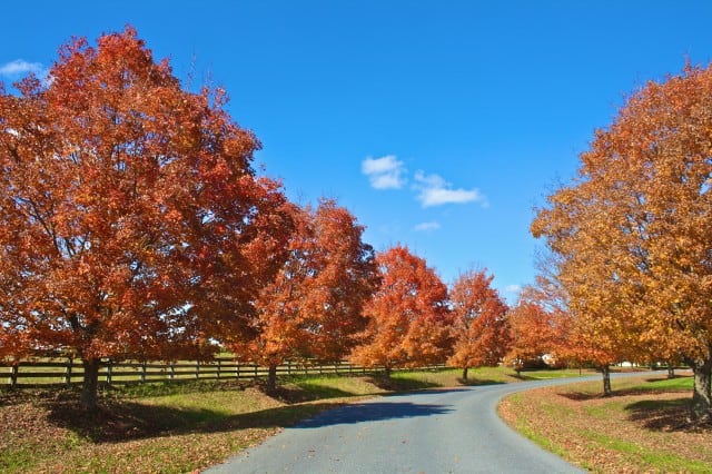 autumn around the world