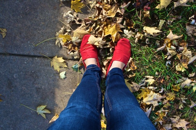 autumn around the world