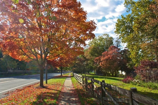 autumn around the world