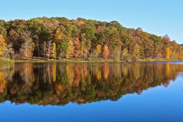 autumn around the world