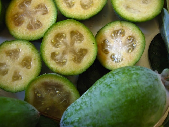 new zealand slang new zealand slang